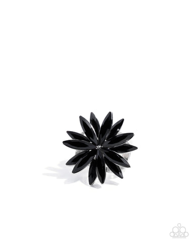 Sophisticated Shine - Black